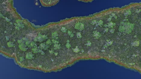 an aerial view of a lake surrounded by trees