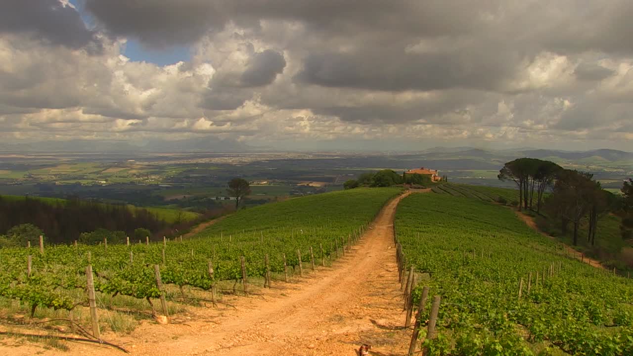 Vigneti che si affacciano sulla valle di Stellenbosch
