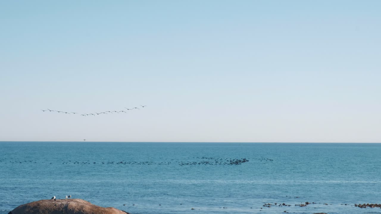 바다 위로 편대를 이루어 날아가는 새 떼