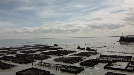 aerial 4k drone footage of a large oyster farm, terrain de culture d‘huîtres, on the beach of cancele, brittany, france