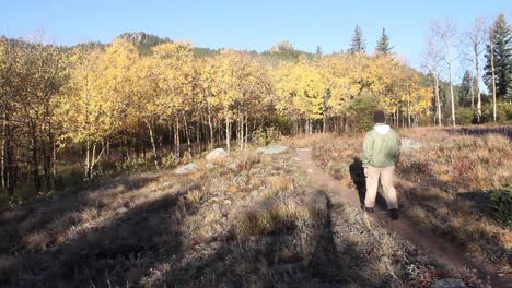 a hiker walks away from the camera with fall colors and aspen in the background