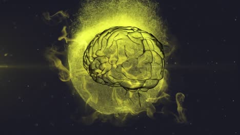 3d human brain rotating in seamless loop over globe exploding with particles