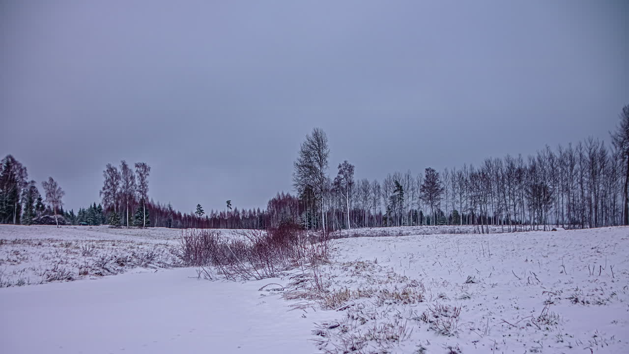 Timelapse di un paesaggio freddo e desolato coperto di neve e alberi con cieli nuvolosi che passano