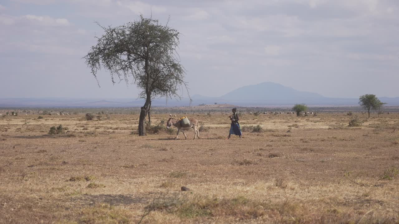 Maasai walking with a donkey going to pick water
