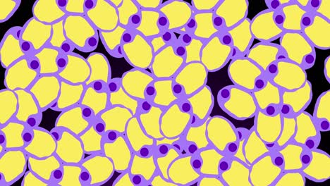 animation of yellow and violet cells moving on black background