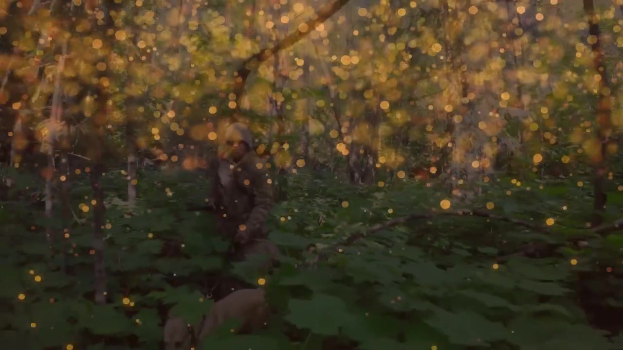 Uomo che si alza da accovacciato, si muove nella natura, esplorando mentre un bokeh dorato cresce e un cane lo segue