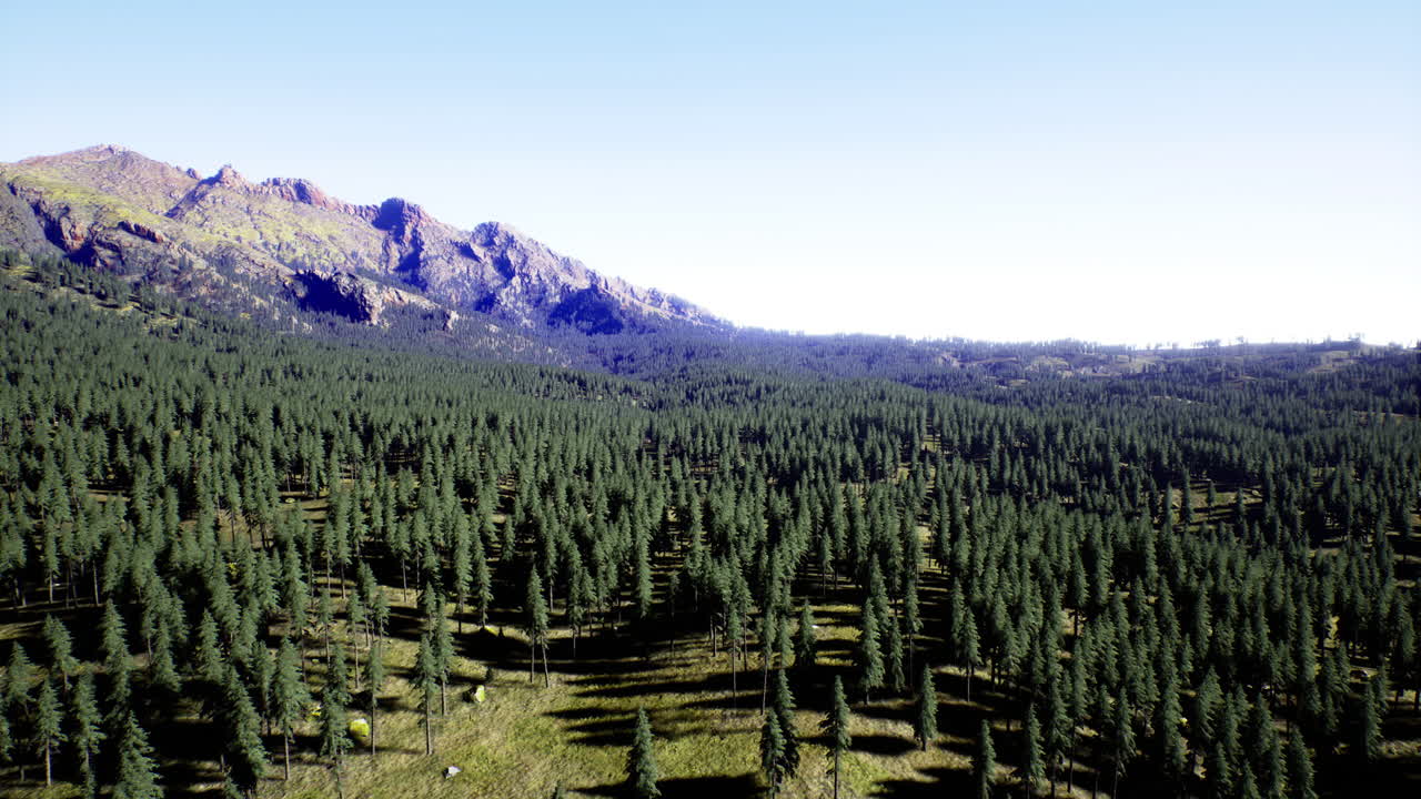 Expansive forest landscape with mountains under clear blue skies near noon
