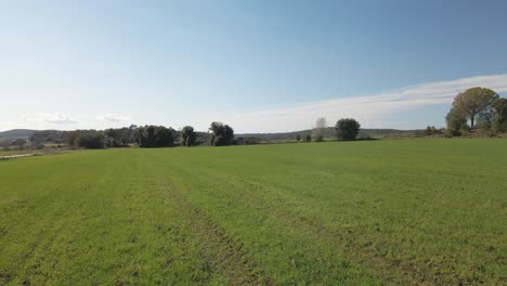 Vistas-Aéreas-Con-Drones-De-Un-Campo-En-El-área-De-Girona-España-Paisaje-Verde-Naturaleza-Agricultura-Orgánica-Recién-Cultivado-Doy-Vuelta-Hacia-Adelante-Bajo