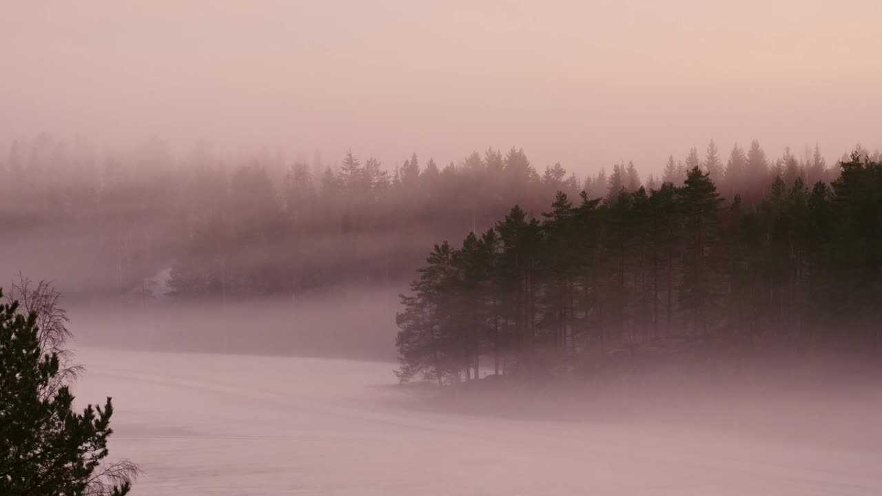 안개나 안개 속의 숲과 호수