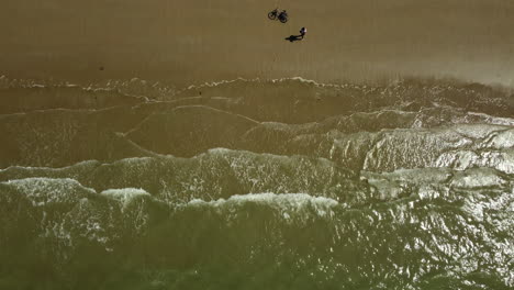 Beach Aerial View with Bicyclists