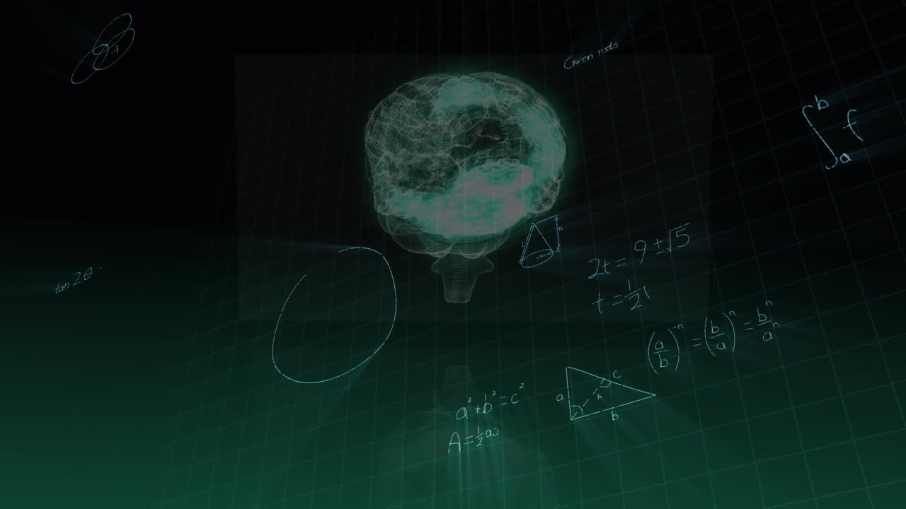 수학적 방정식의 애니메이션과 인간의 뇌에 대한 데이터 처리