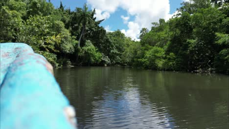 Time-lapse-through-mangrove-river-with-a-boat