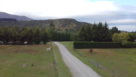 drone farmland horse and road