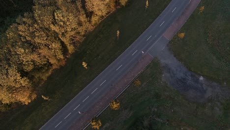 Top-down-static-aerial-view,-cars-driving-on-tree-lined-road,-golden-hour