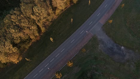 Statische-Luftaufnahme-Von-Oben-Nach-Unten,-Autos,-Die-Auf-Einer-Von-Bäumen-Gesäumten-Straße-Fahren,-Goldene-Stunde