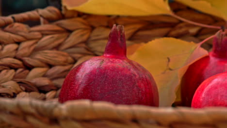 close up of ripe red pomegranates in wicker basket on table in garden