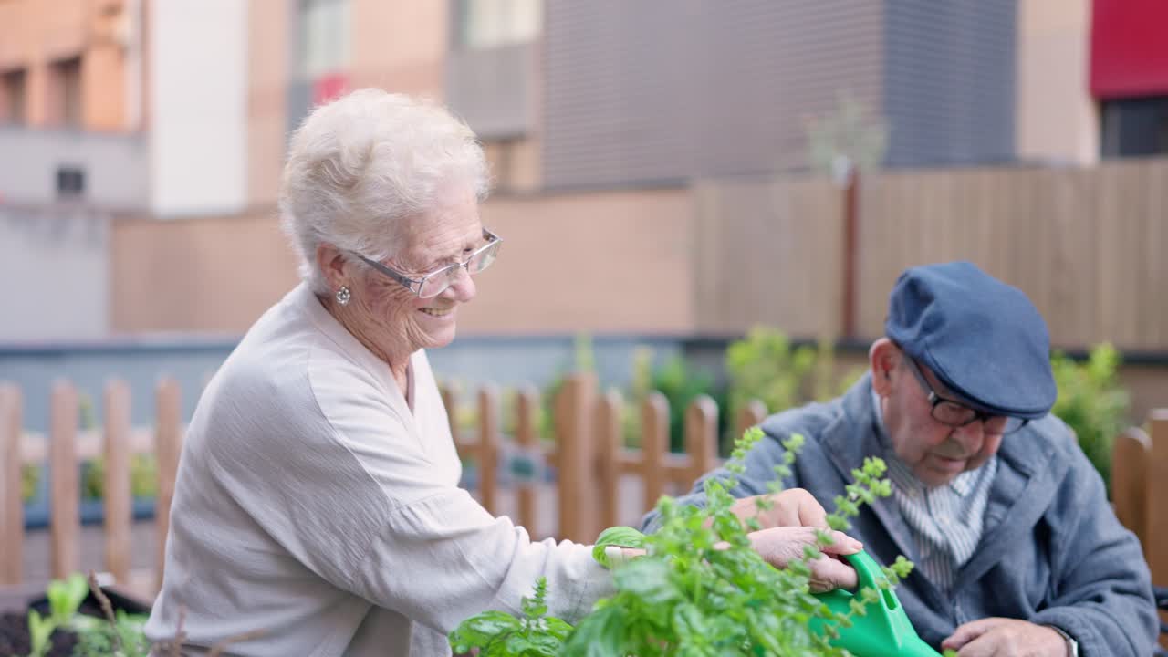 Elderly Couple Gardening Together
