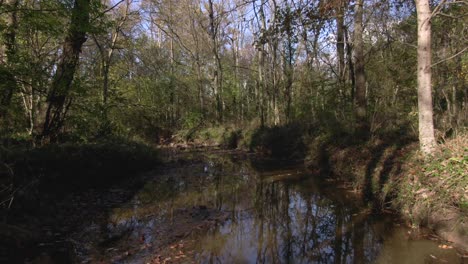 Dolly-Forward-Down-a-Creek-During-Summer