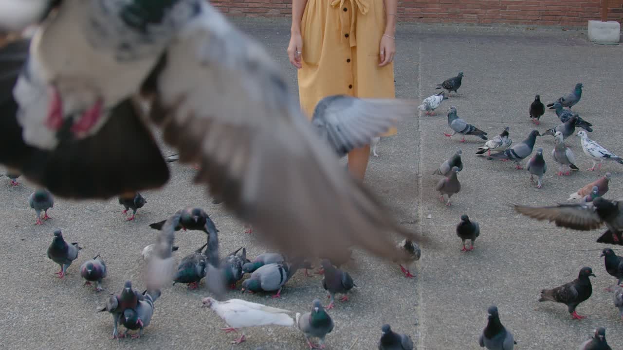 Woman surrounded by pigeons in a city square