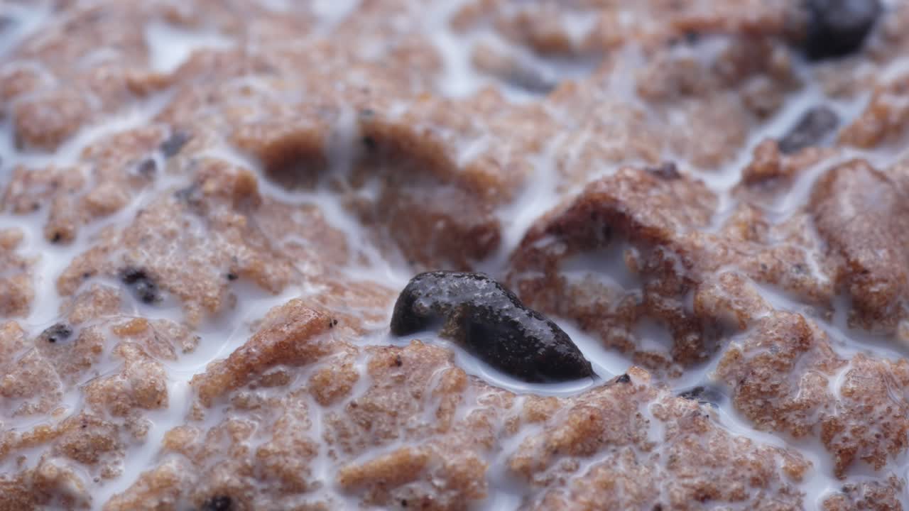 우유는 맛을 포옹합니다. 풍부하고 따뜻합니다. 가장 간단한 형태로 편안합니다.