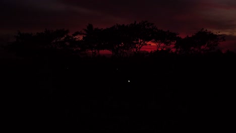 dramatic sunset over tetebatu on lombok island, indonesia. dark silhouettes of trees stand out against a glowing red-orange sky near the volcano, creating a moody and cinematic tropical scene.