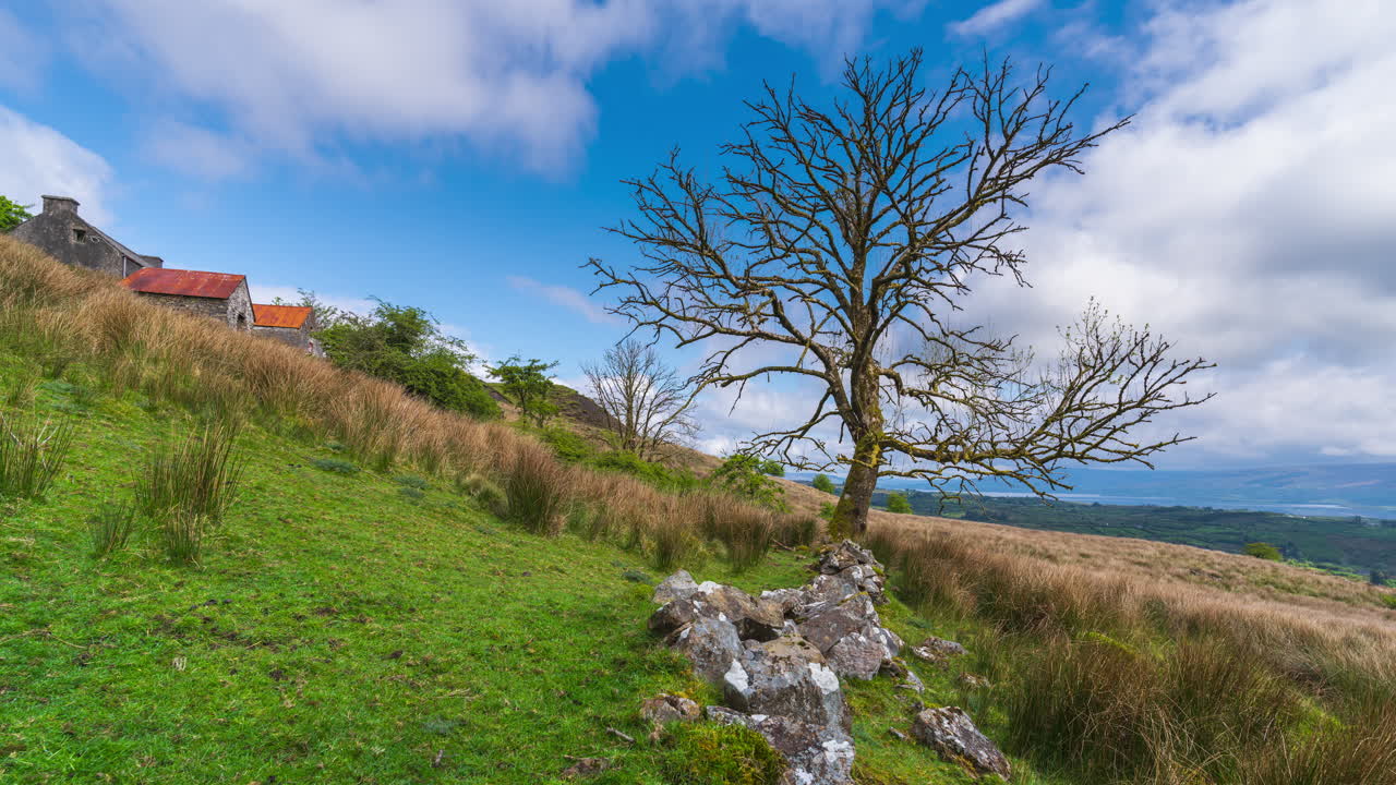 Time lapse of rural landscape with a single leafless tree in the foreground and hills and lake in the distance during spring sunny cloudy day in Arigna mountains in county Leitrim in Ireland