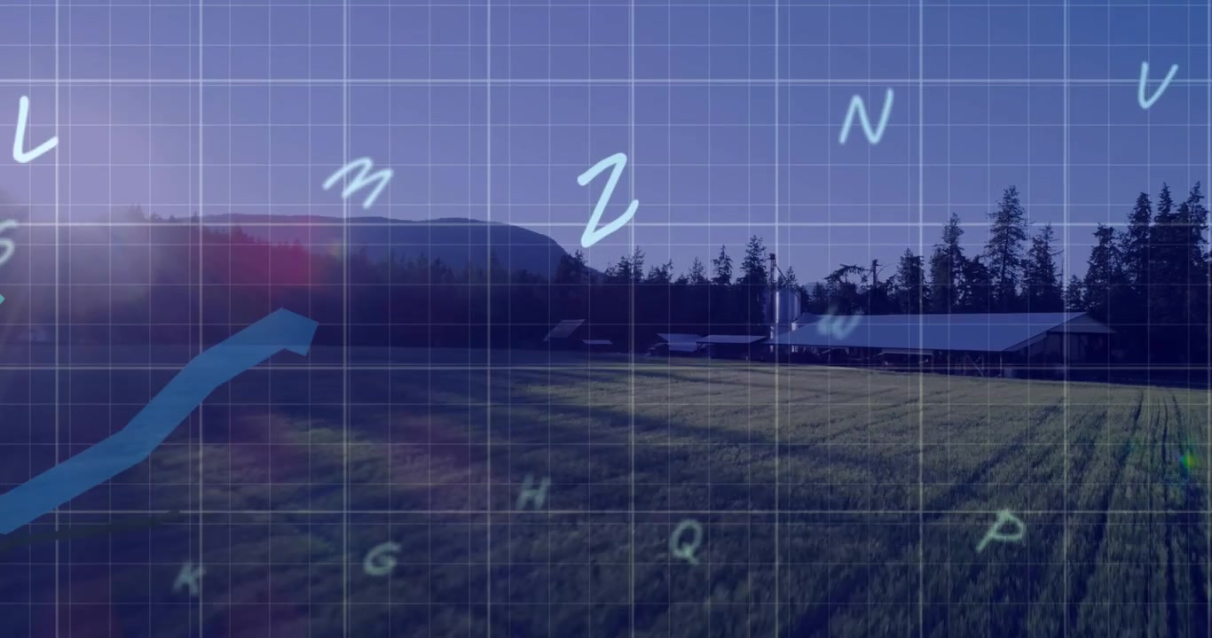 Animation of financial data processing over field
