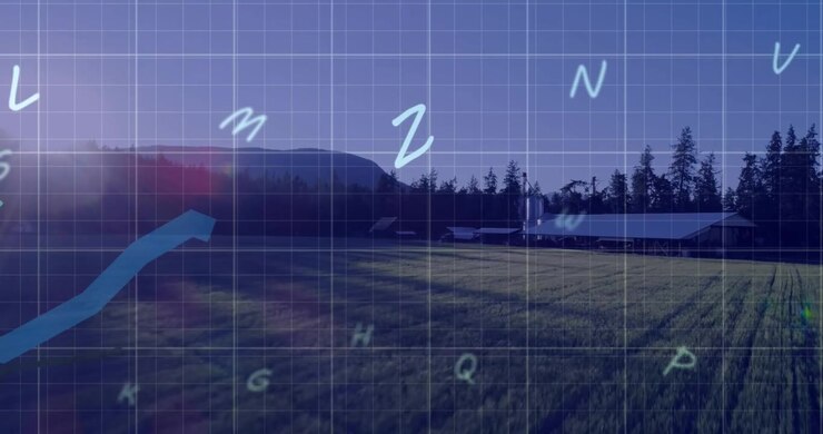 Animation of financial data processing over field