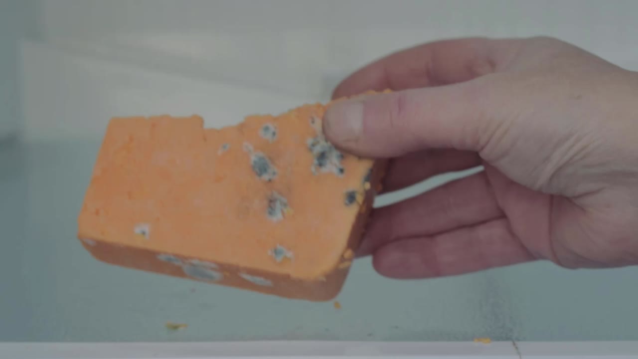 Hand scrapes mold of rotten cheese in an empty fridge