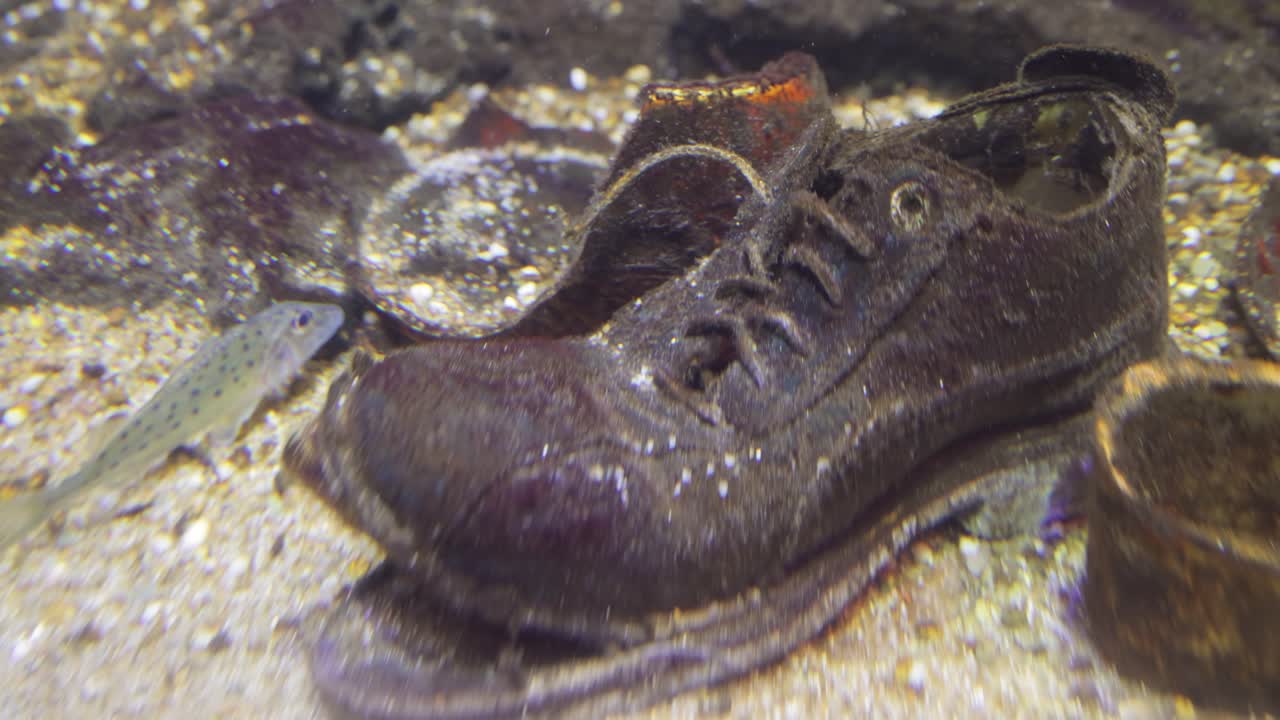 экологические проблемы, связанные с загрязнением воды.