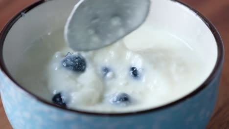 yogur con arándanos