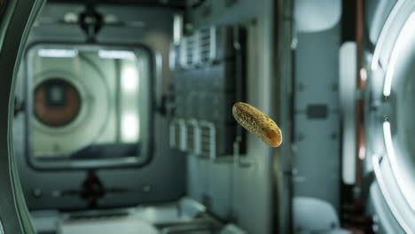 Pepino-En-Escabeche-Marinado-Flotando-En-La-Estación-Espacial-Internacional