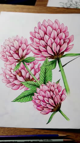 step-by-step botanical illustration: drawing and coloring various flowers