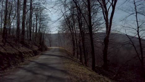 empty road on a hillside with bald trees at spring