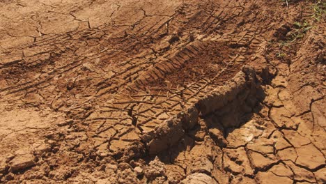 vehicle tire track left in dried mud