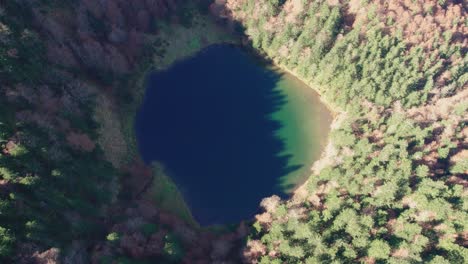 Aerial-view-of-a-small-alpine-lake-surrounded-by-green-forest-in-the-French-Pyrenees-mountains