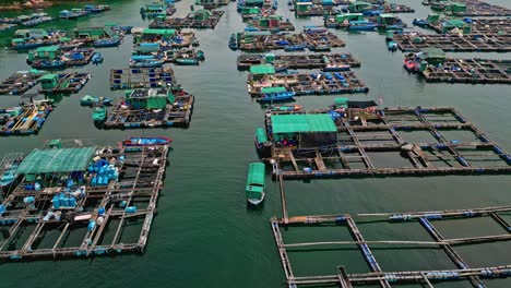 aerial over the fishing boats and rafts of the fish farms on ma wan island, hong kong, china