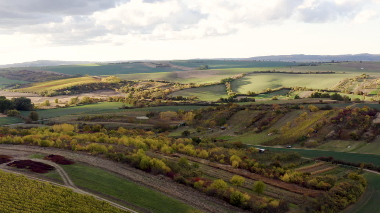 가을의 목가적인 포도원 시골 풍경, 체코, 드론 샷