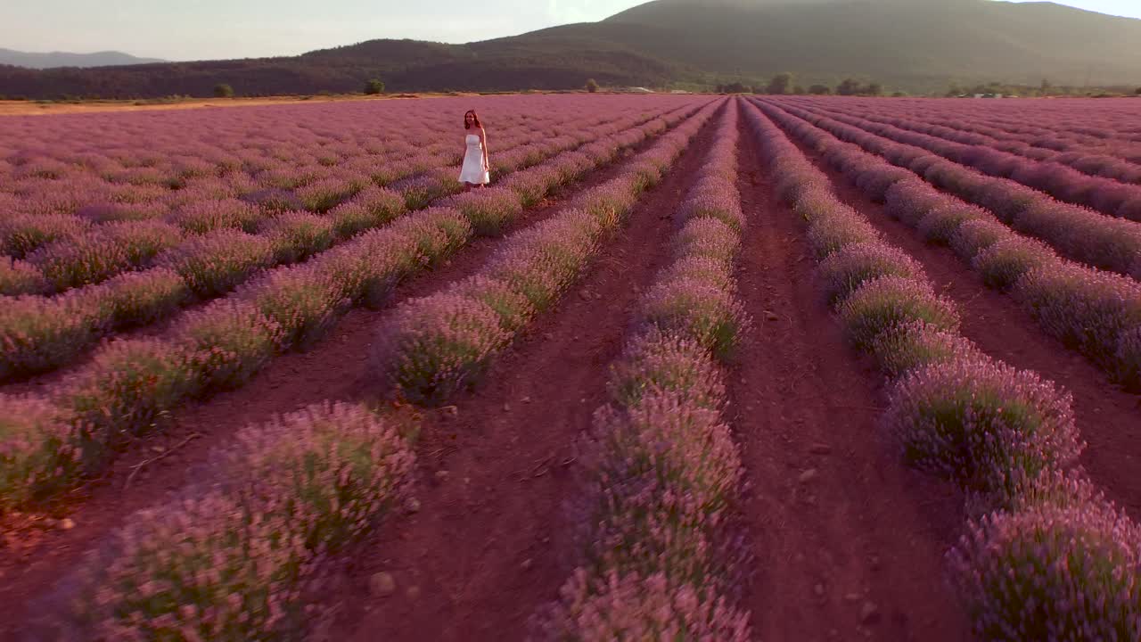 mujer caminando por un campo de lavanda al atardecer
