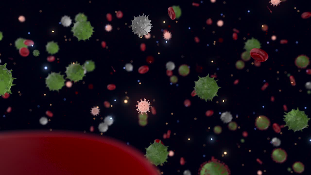 células sanguíneas y células inmunes