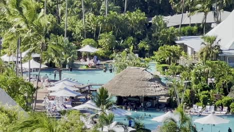 hamilton island luxury pool resort - tropical grass huts palms swim-up bar, whitsundays
