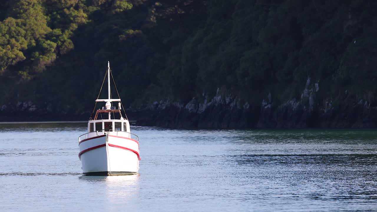 A boat travels steadily across calm waters in Akaroa, New Zealand, surrounded by lush greenery under soft daylight