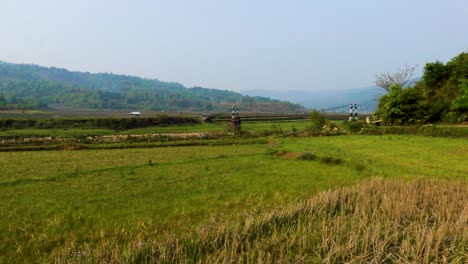 Ländliche-Landwirtschaft-Bewirtschaftungsfelder-Mit-Strahlend-Blauem-Himmel-Am-Morgen-Aus-Flachem-Winkel