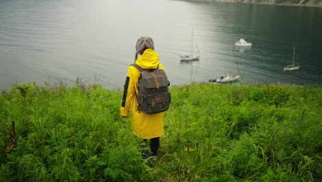 person hiking on a hill overlooking the ocean