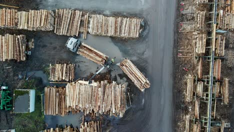 from forest to mill: an aerial view of logging trucks unloading at a german sawmill