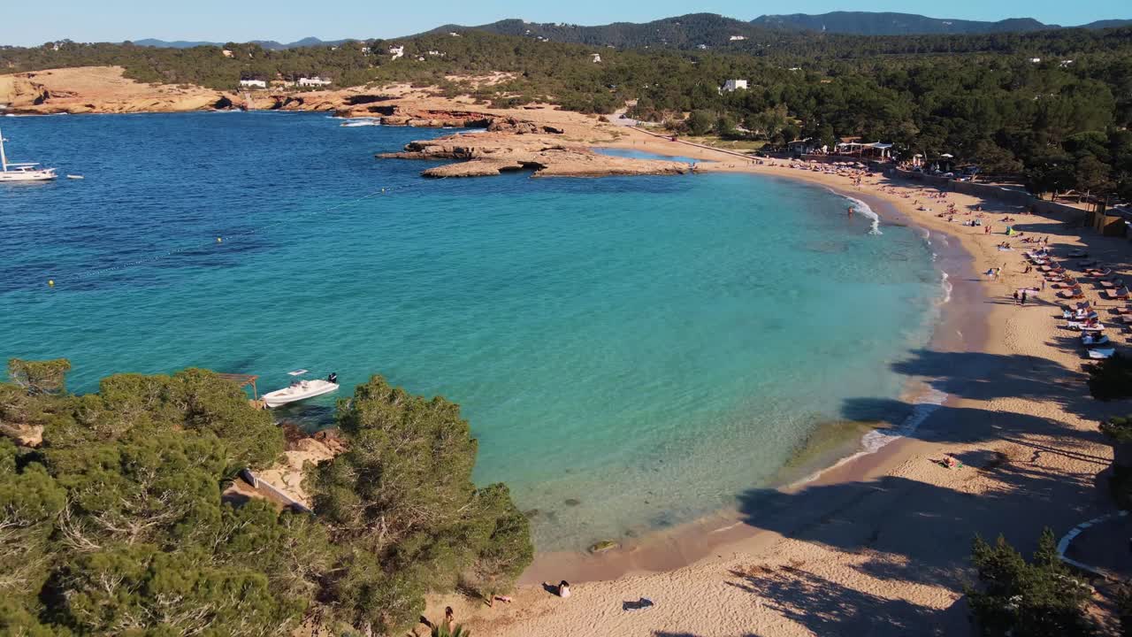 Vista aérea de drone sobrevoando árvores, revelando a Praia de Cala Bassa em Ibiza com veleiros no belo oceano azul, na costa da Espanha.
