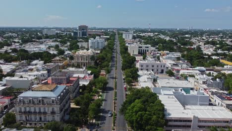 an aerial view of paseo de montejo