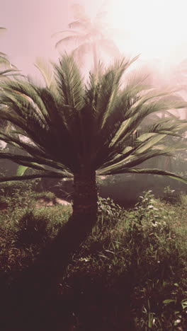 palm tree standing in field