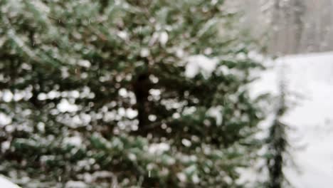 Close-up-of-glass-railing-covered-in-snow-during-a-snowfall-in-a-pine-forest-during-winter