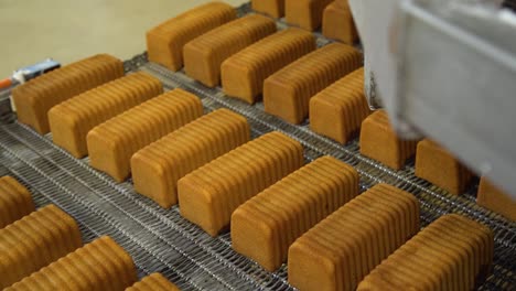 cake production, marble loaf cake making